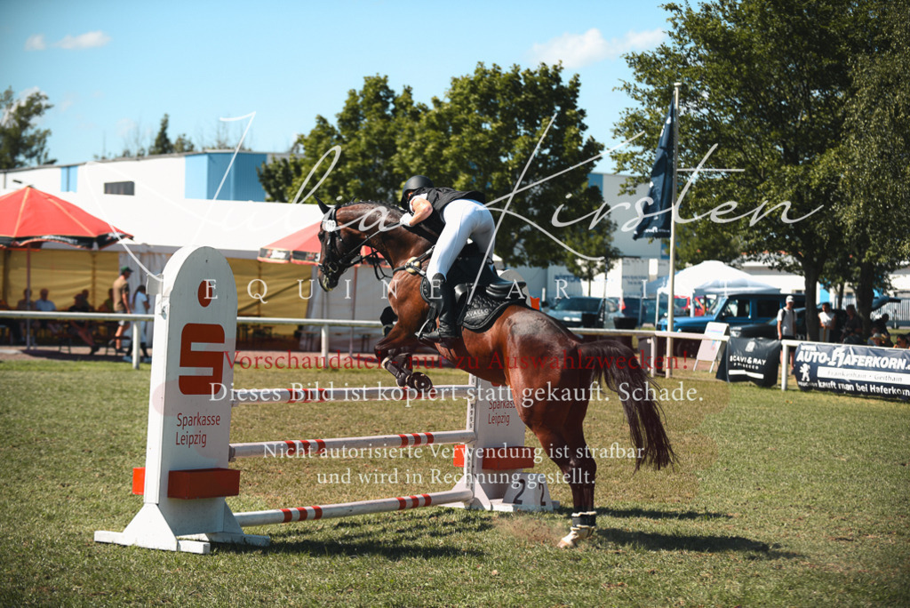 DSC_7196 | Pferde- und Turnierfotografie in Westsachsen. Pferdeportraits, Auftragszeichnungen und intuitive Kunst.