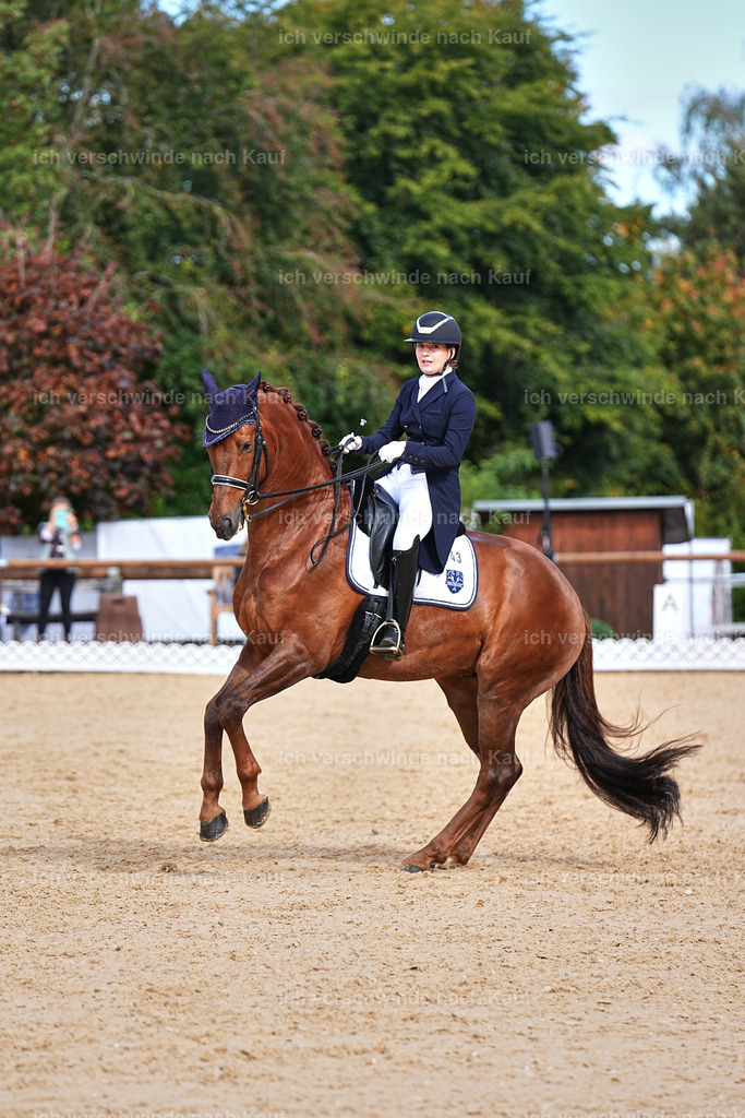 6-143-AMATUER-DRESSUR S_  -Marixx-3694 | working equitationturnier fotograf videograf stoibphotography marixx film working equitation deutschland reitsport turnierfotografie eventfotografie equestrian events