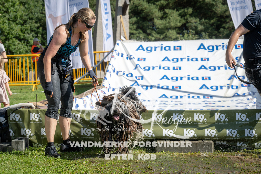 1125_ZZ92192 | kk-dogfotos