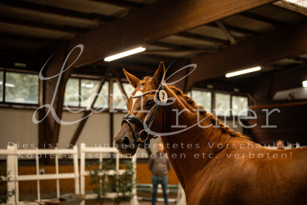 1FS_L00055 | Leoni Ertmer Photography - Realisiert mit Pictrs.com