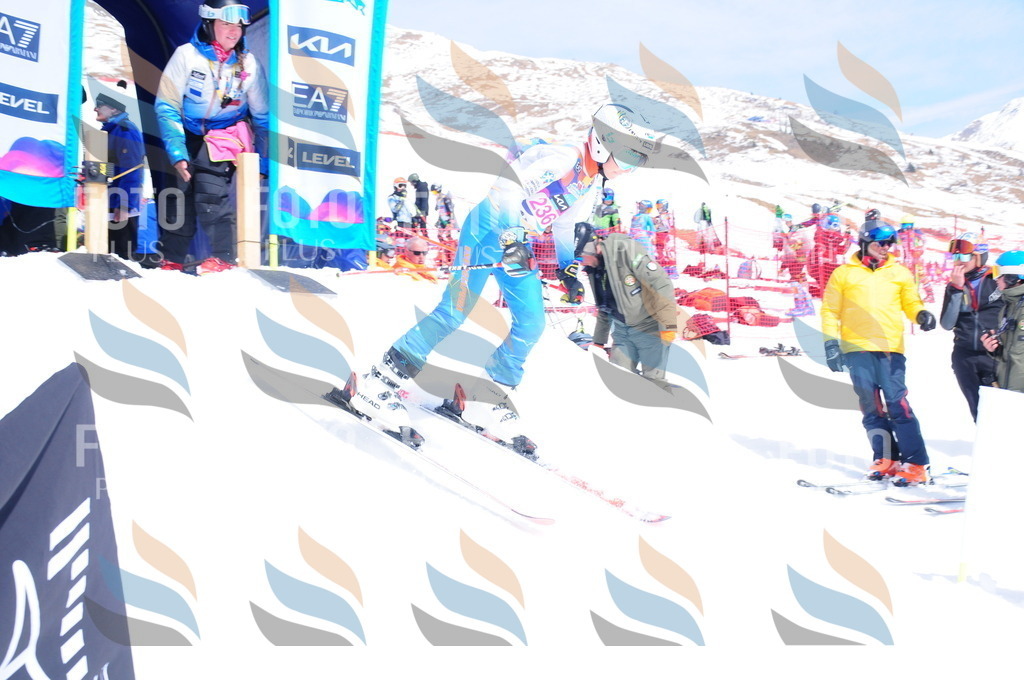 DSC_6103 | holidayphoto