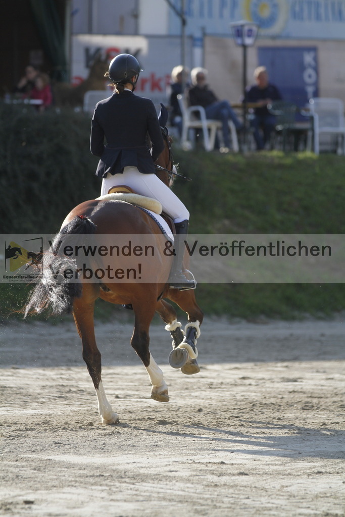 _MG_1572 | equestrian-live-com
