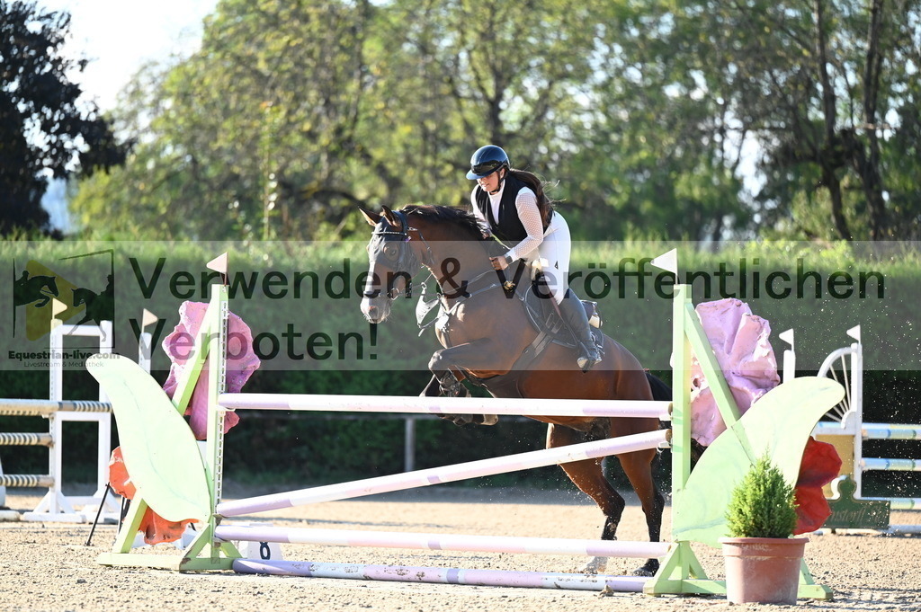 DSC_8915 | equestrian-live-com