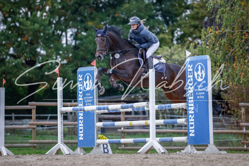 20251012-_3LI5288 | Tierfotografie Pferde, Hunde, Katzen, Haustiere.
Turnierfotografie Reitturniere, Reiten, Springreiten, Dressur in Hanau, dem Main-Kinzig-Kreis und dem Rhein-Main- Gebiet um Frankfurt