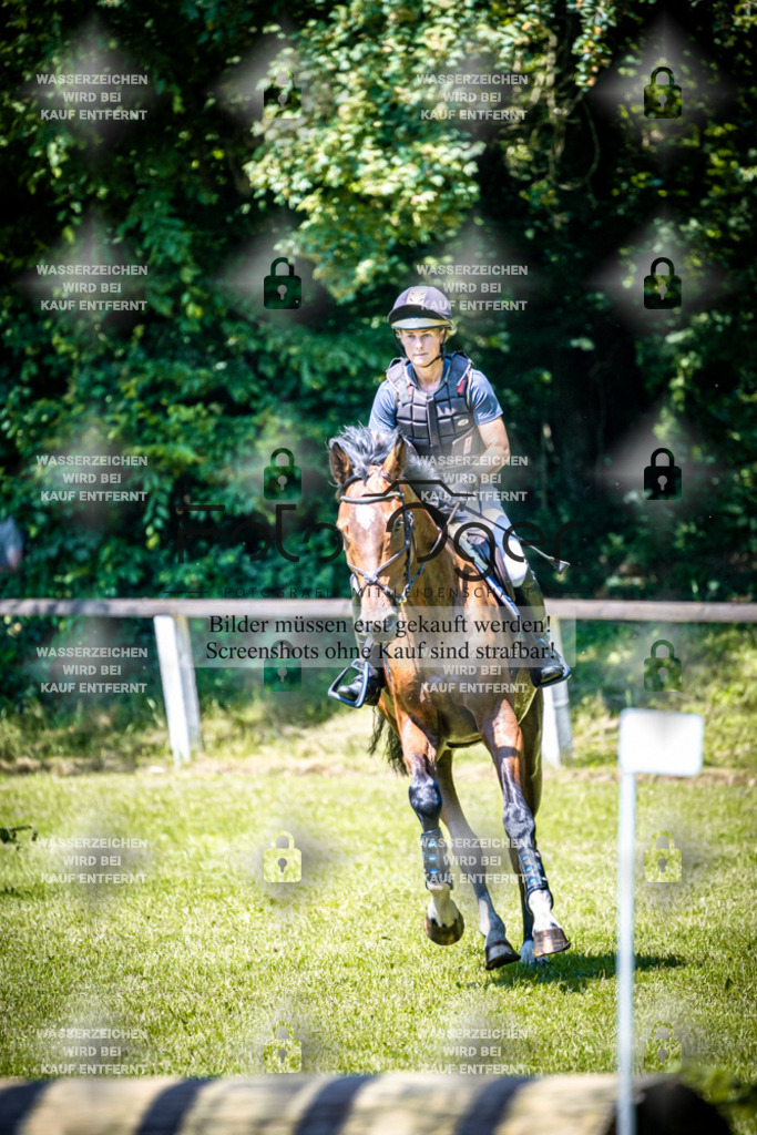 2026-05 - Melle Oldendorf-1-0084 | Entdecke hochwertige Reitturnierfotos von Foto Oger. Professionell, emotional und authentisch – jetzt Lieblingsmomente im Shop bestellen.Deutschlandweite Turnierfotografie. - Realisiert mit Pictrs.com