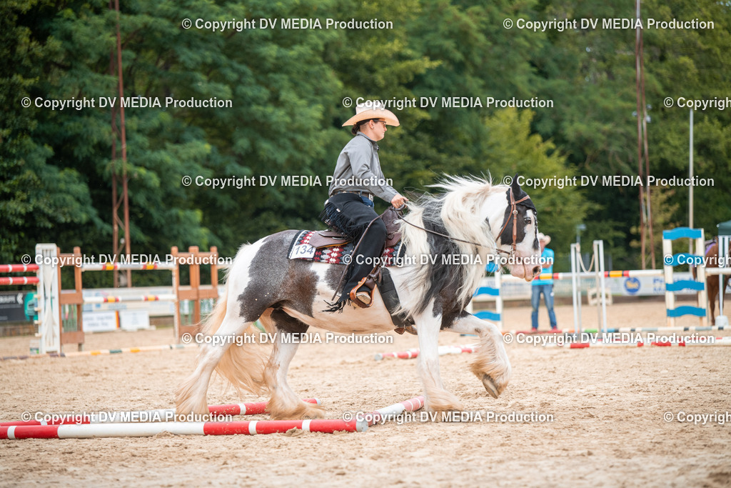 ZS2_8114 | dv-media-shop - Realisiert mit Pictrs.com