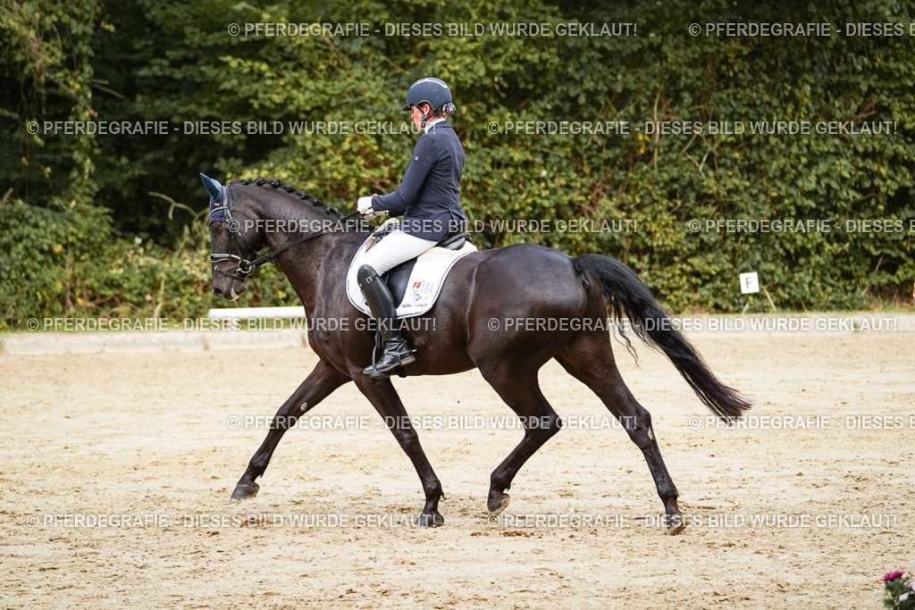 DSC01028 | Pferdegrafie