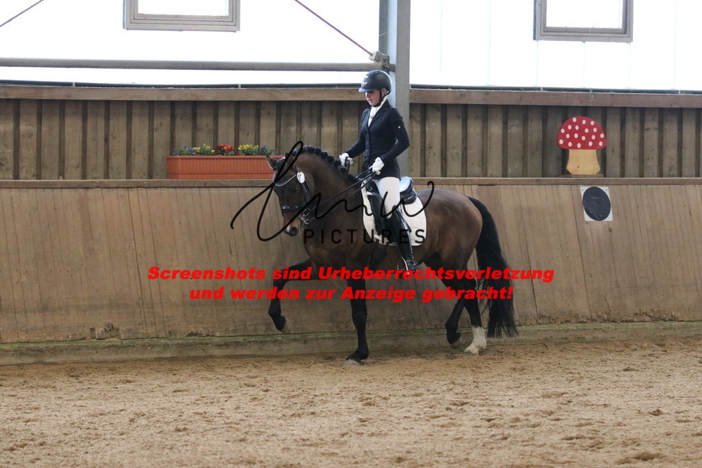 IMG_9021 | lmwpictures - Realisiert mit Pictrs.com