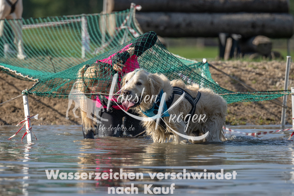 1121_ZZ92492 | kk-dogfotos