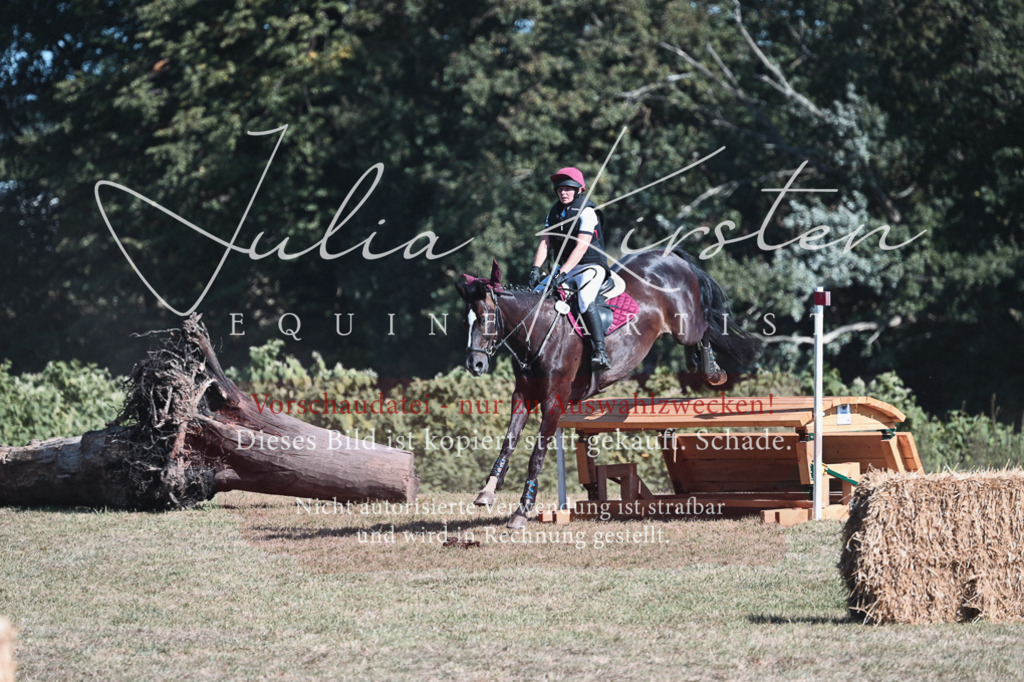 DSC_8558 | Pferde- und Turnierfotografie in Westsachsen. Pferdeportraits, Auftragszeichnungen und intuitive Kunst.