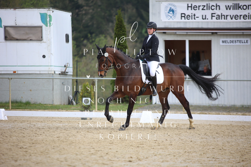 IMGT6591 | pl-fotografie