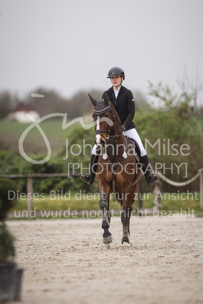 240330_Fruehlingsfest_Stil-A1_U30-357 | Deine schönsten Turniermomente als professionelle Fotos! Entdecke hochwertige Pferdesport-Fotografie im Online-Shop. Jetzt Fotos finden & bestellen!