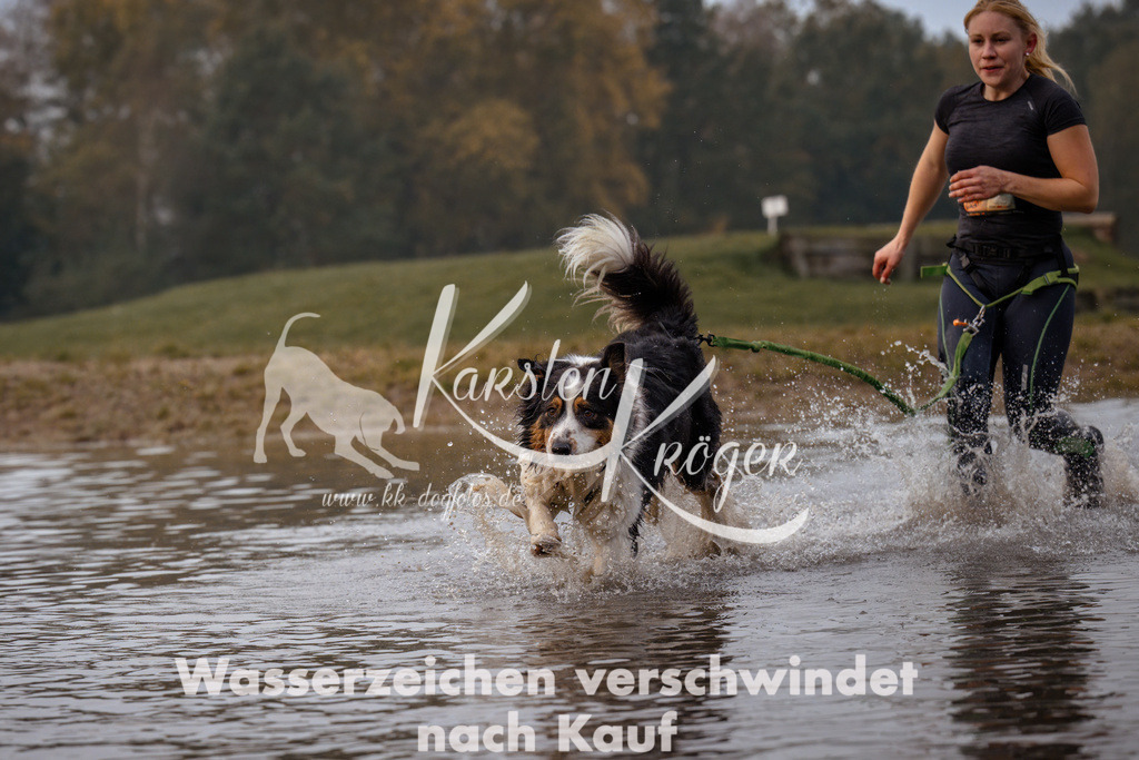 0828_ZZ91856 | kk-dogfotos