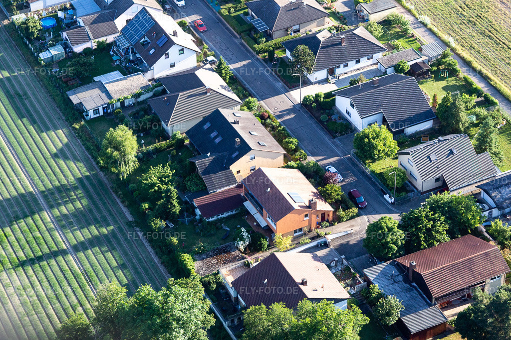 Luftbild: Ringstr im Ortsteil Hayna in Herxheim im Bundesland Rheinland-Pfalz in Deutschland. Foto: IMG_115094.jpg vom 13.06.2019 durch Werner Riehm/FLY-FOTO.de