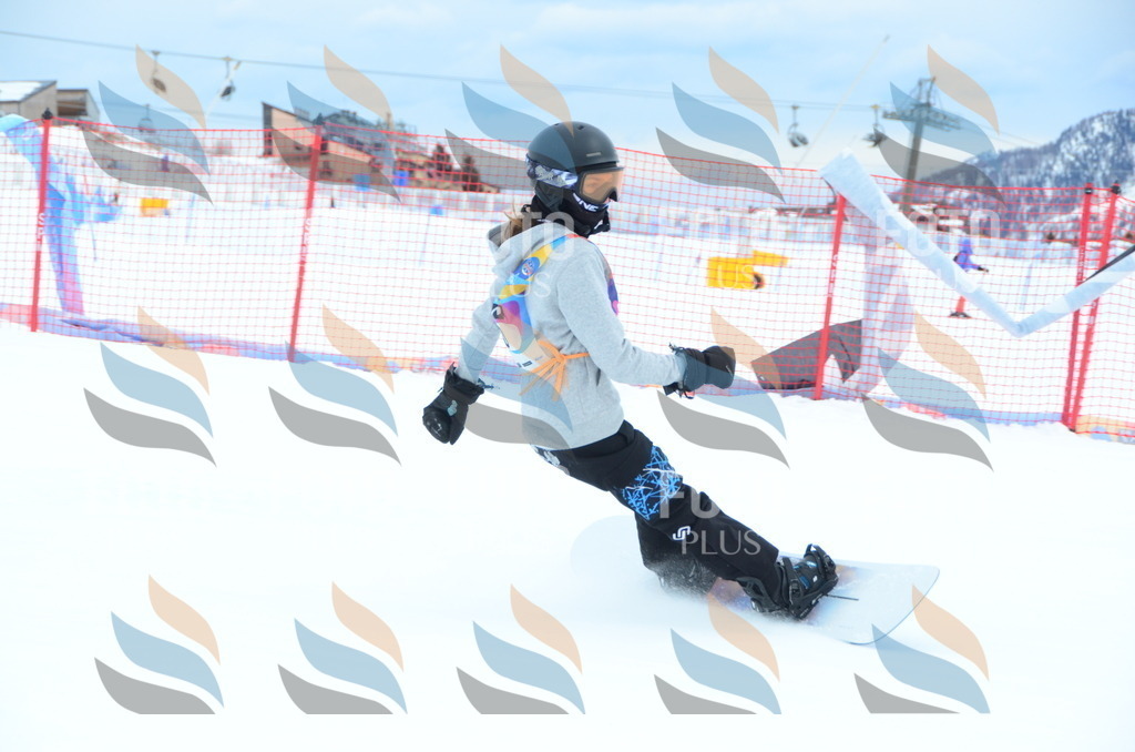 DSC_2334 | holidayphoto