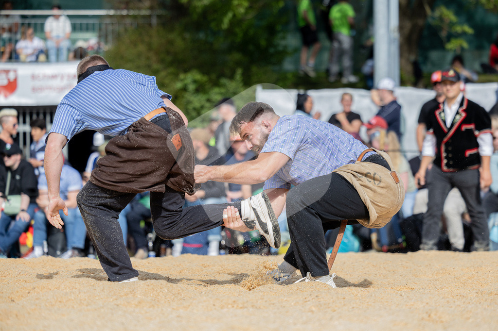 ZKSF2026_2Gang_127 | Die Schwinger des Schwyzer Kantonalen Schwingerverbandes: Fotos, die Dynamik und Leidenschaft festhalten, sowie emotionale Momente aus dem traditionellen Schwingsport zeigen. - Realisiert mit Pictrs.com