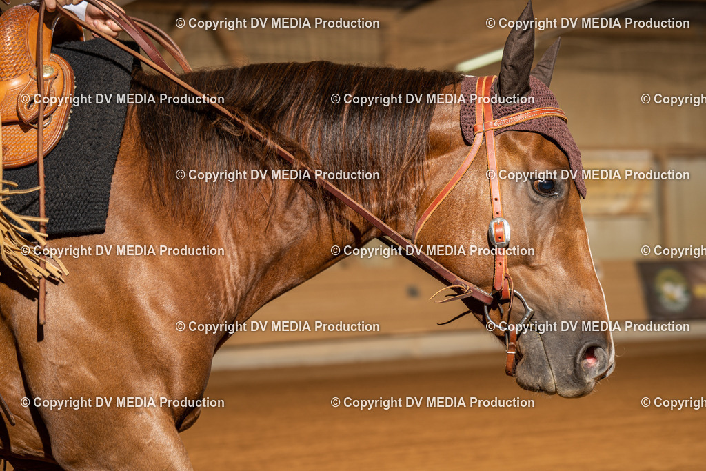 NID01755 | dv-media-shop - Realisiert mit Pictrs.com