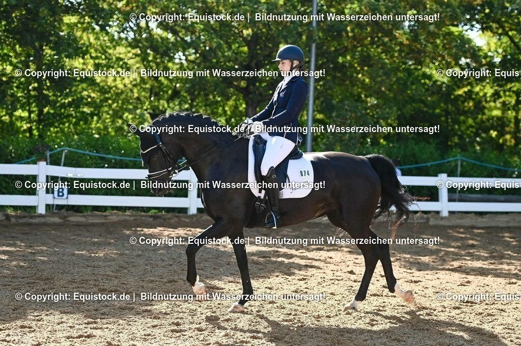 20230715_06_Dressurpferdeprfg. Kl.A_0237 | equistock
