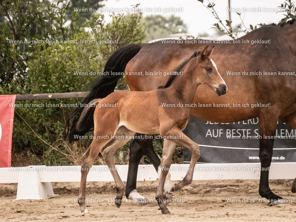 A10I3621 15.58.10 | photographylinaismer - Realisiert mit Pictrs.com