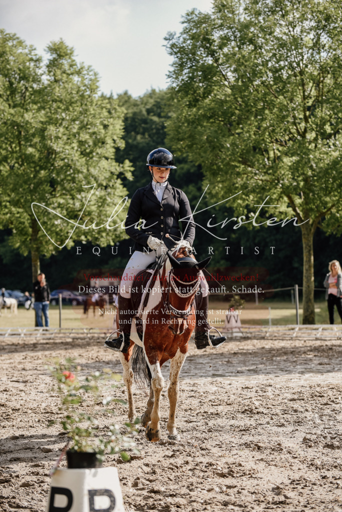DSC_8745 | Pferde- und Turnierfotografie in Westsachsen. Pferdeportraits, Auftragszeichnungen und intuitive Kunst.