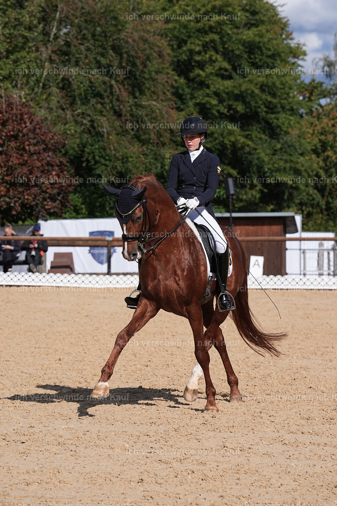 09_2-223-DRESSUR  S_  -Marixx-5949 | working equitationturnier fotograf videograf stoibphotography marixx film working equitation deutschland reitsport turnierfotografie eventfotografie equestrian events