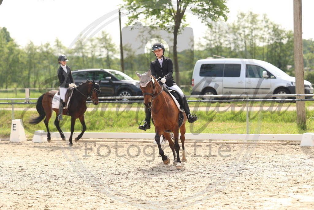 994A6804 | sabrinanicolaifotografie - Realisiert mit Pictrs.com