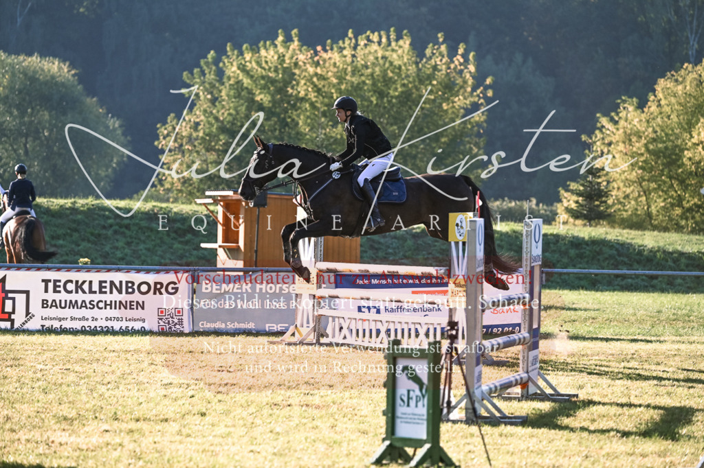 DSC_4323 | Pferde- und Turnierfotografie in Westsachsen. Pferdeportraits, Auftragszeichnungen und intuitive Kunst.