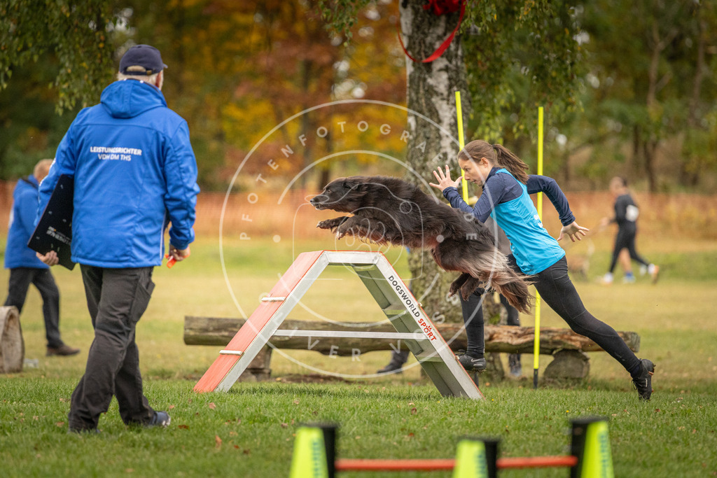 Pfotenfotografie_DV3A7058 | Hundefotografie, Tierfotograf, Pfotenfotografie, Fotoshooting Hund, Hunde Portrait, Hundesport, Hundeportraits, Heideshooting, Hunde, Sportfotograf, Hundefotograf, Turnierhundsport, THS,  - Realisiert mit Pictrs.com