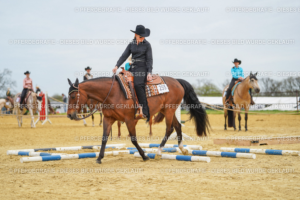 DSC03027 | Pferdegrafie