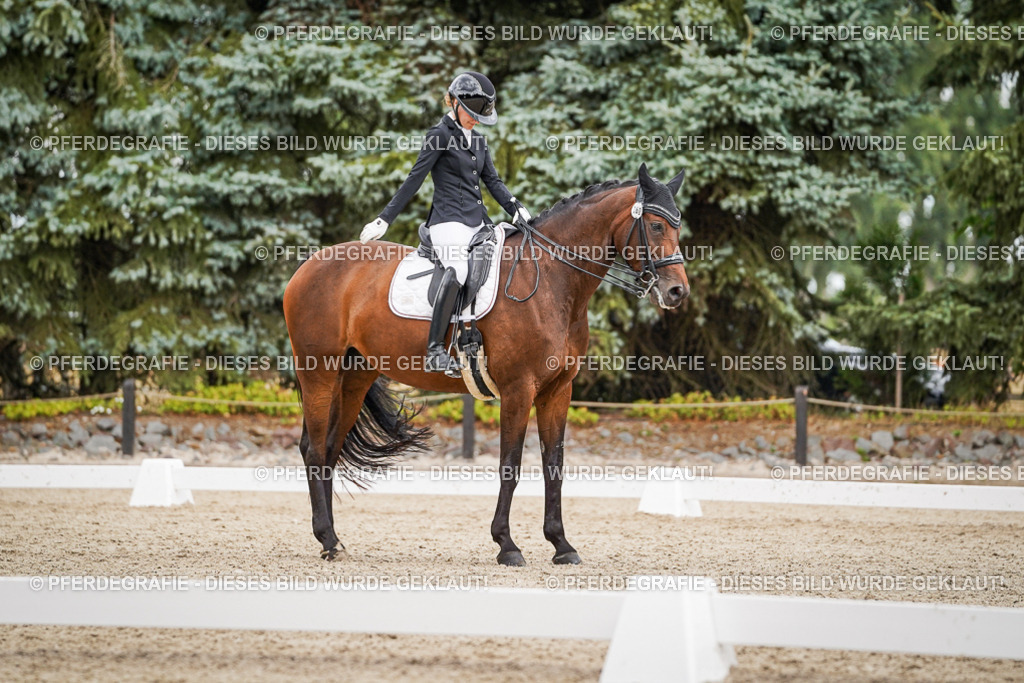 DSC04487 | Pferdegrafie