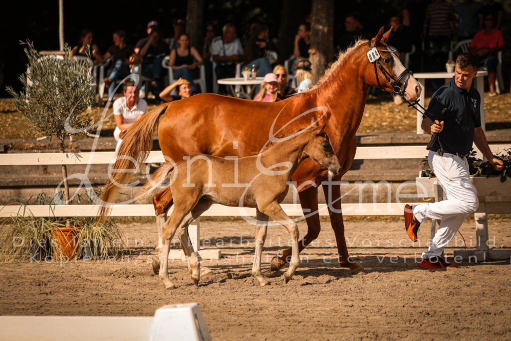 10.DoRP00170 | Leoni Ertmer Photography - Realisiert mit Pictrs.com