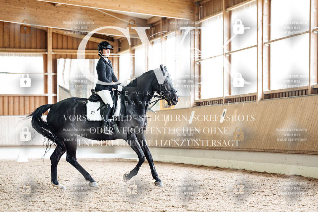 CK901056 | Turnierfotografie Pferdefotografie Trier Rheinland-Pfalz Pferdesport Reitsport Tierfotografie Sportfotografie Pferdevideo Pferdevideografie Equestrianvideography equestrianphotography  - Realisiert mit Pictrs.com