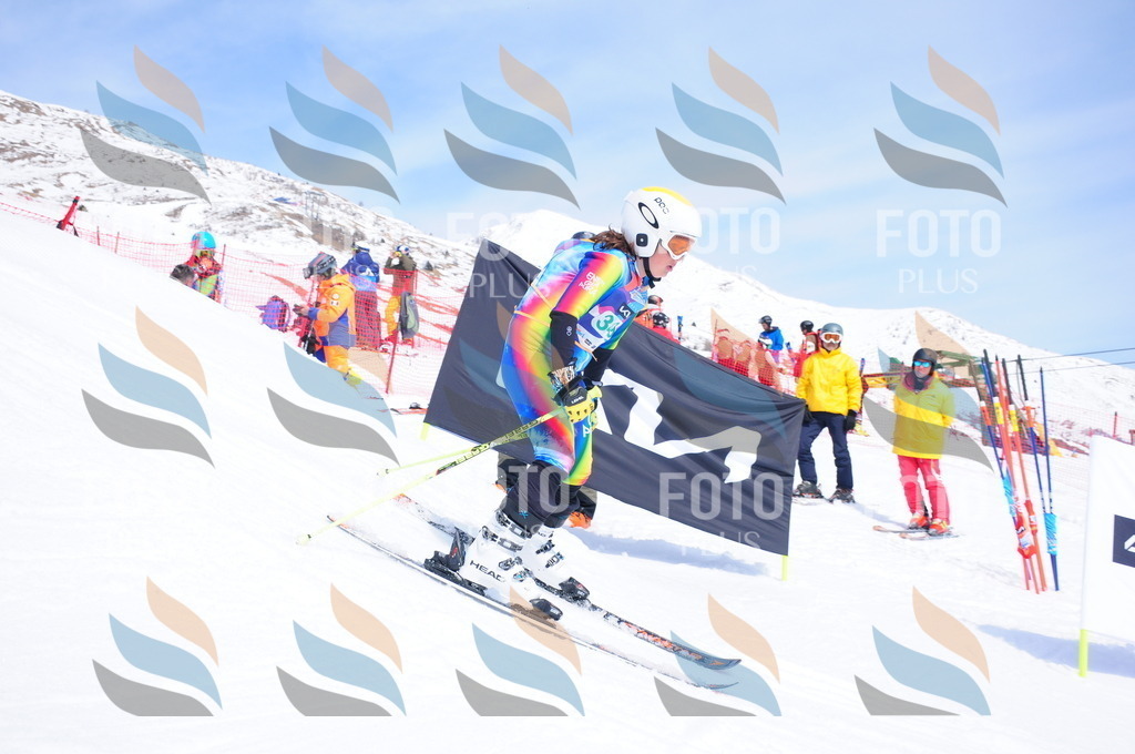 DSC_3341 | holidayphoto