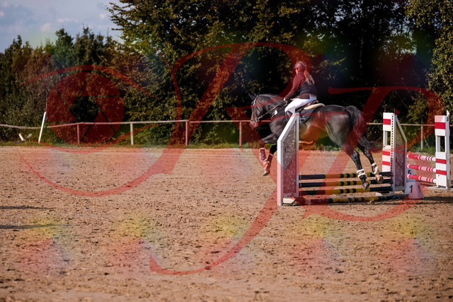 2026_10_03_Siefer-Hof_154245_Z81_60450111 | Professionelle Reitsport-, Turnier- und Eventfotografie von Robert Broda. Galerien mit ausgewählten und bearbeiteten Bildern direkt online ansehen und bestellen.