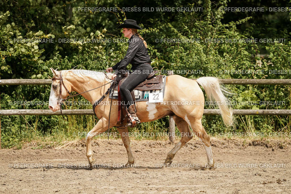 DSC09814 | Pferdegrafie