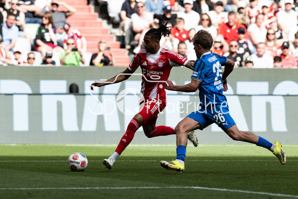 FC Bayern München - 1. FC Heidenheim | MUNICH, GERMANY - 02. MAI: im Duell Hennes BEHRENS (1. FC Heidenheim 26) und fc17 während dem Bundesligamatch zwischen dem FC Bayern München und dem 1. FC Heidenheim am 32. Spieltag in der Allianz Arena / DFL REGULATIONS PROHIBIT ANY USE OF PHOTOGRAPHS AS IMAGE SEQUENCES AND/OR QUASI-VIDEO
