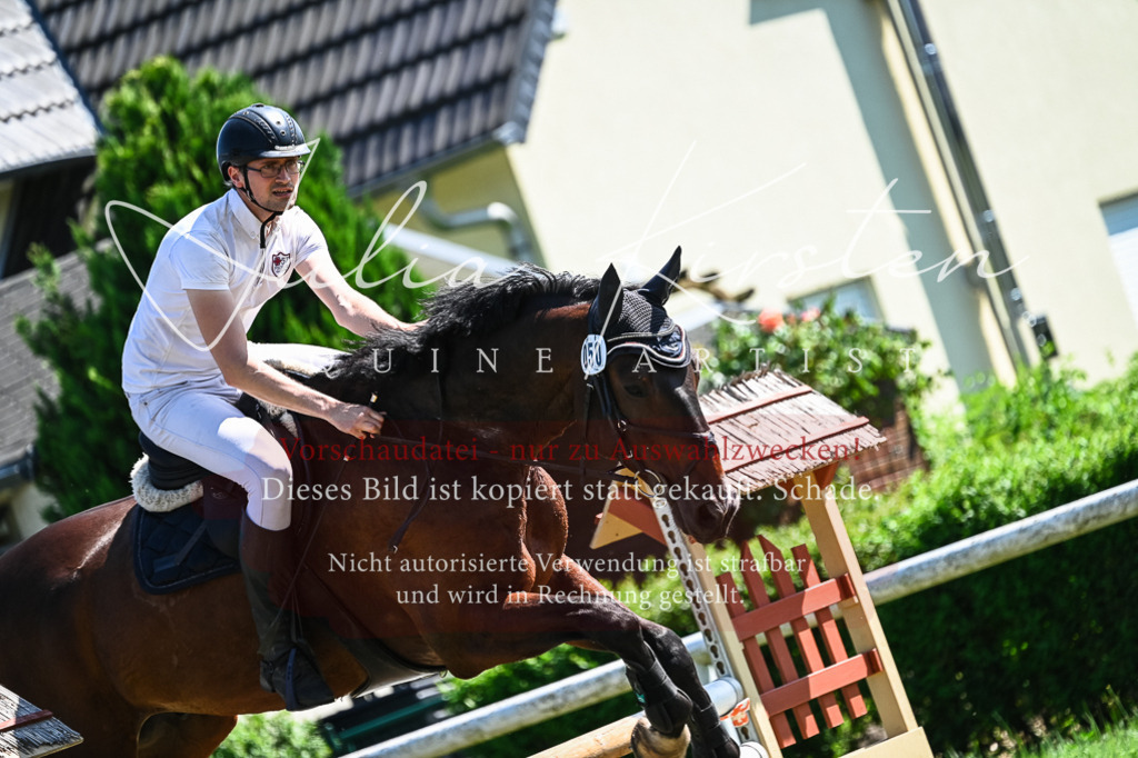 DSC_1232 | Pferde- und Turnierfotografie in Westsachsen. Pferdeportraits, Auftragszeichnungen und intuitive Kunst.