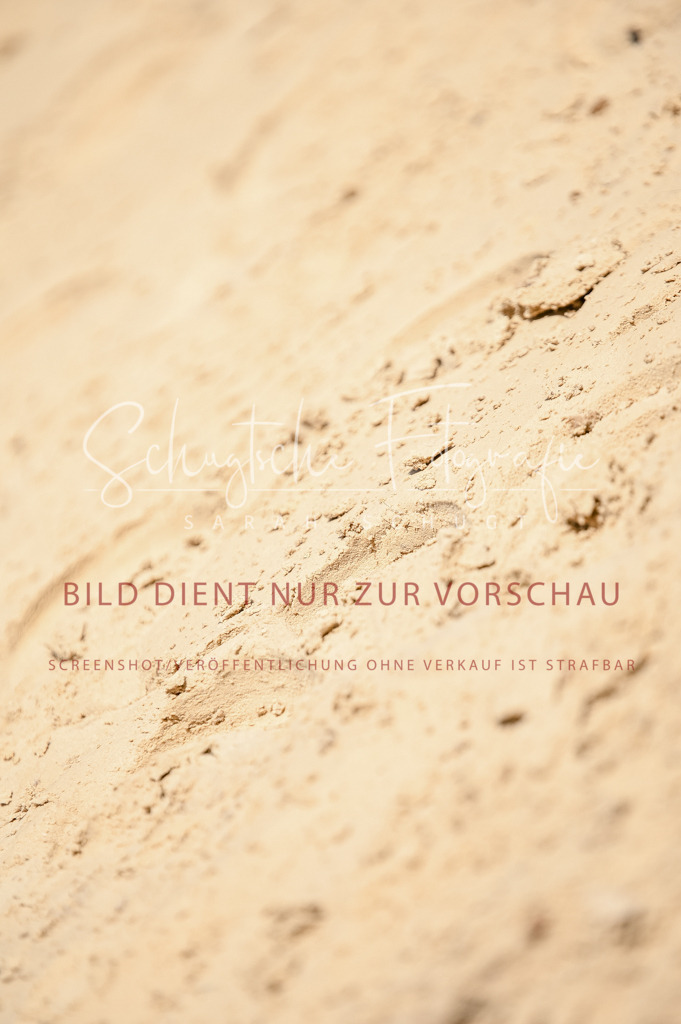 Schugtsche-Aluta25-48.Reitpferfdeprf.-253 | Schugtsche Fotografie - Realisiert mit Pictrs.com