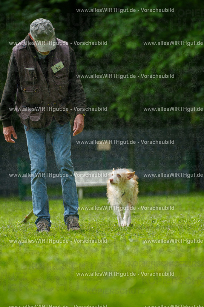 @allesWIRTHgut_Tierfotografie - www.allesWIRTHgut.de - 7R501325 | Professionelle Tierfotografie in Mönchengladbach von Daniel Wirth (allesWIRTHgut). Liebevolle & natürliche Bilder von Hunden & Katzen für unvergessliche Erinnerungen.