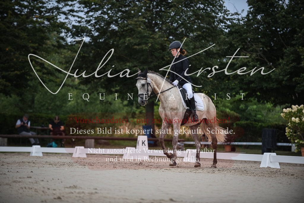 DSC_8216 | Pferde- und Turnierfotografie in Westsachsen. Pferdeportraits, Auftragszeichnungen und intuitive Kunst.