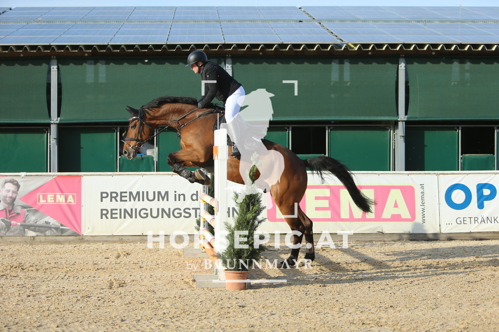 DL2Q4411 | Willkommen bei Brunnmayr - Design & Fotografie – Ihrem Spezialisten für Reitturniere und Pferdeveranstaltungen in Oberösterreich, Salzburg und Bayern! Seit über 17 Jahren sind wir leidenschaftlich dabei.