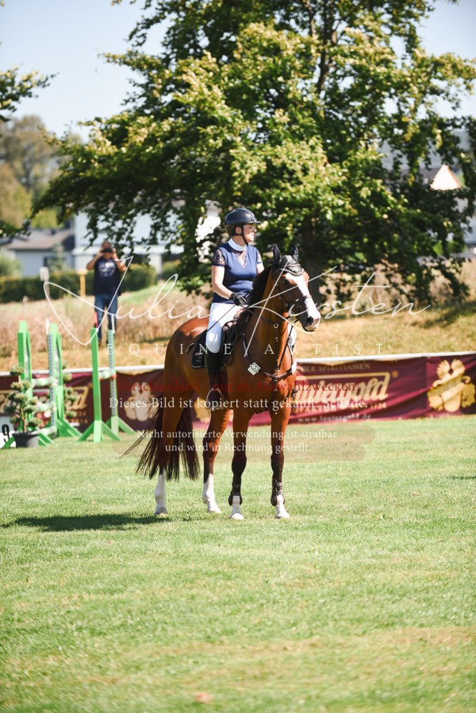 DSC_2783 | Pferde- und Turnierfotografie in Westsachsen. Pferdeportraits, Auftragszeichnungen und intuitive Kunst.