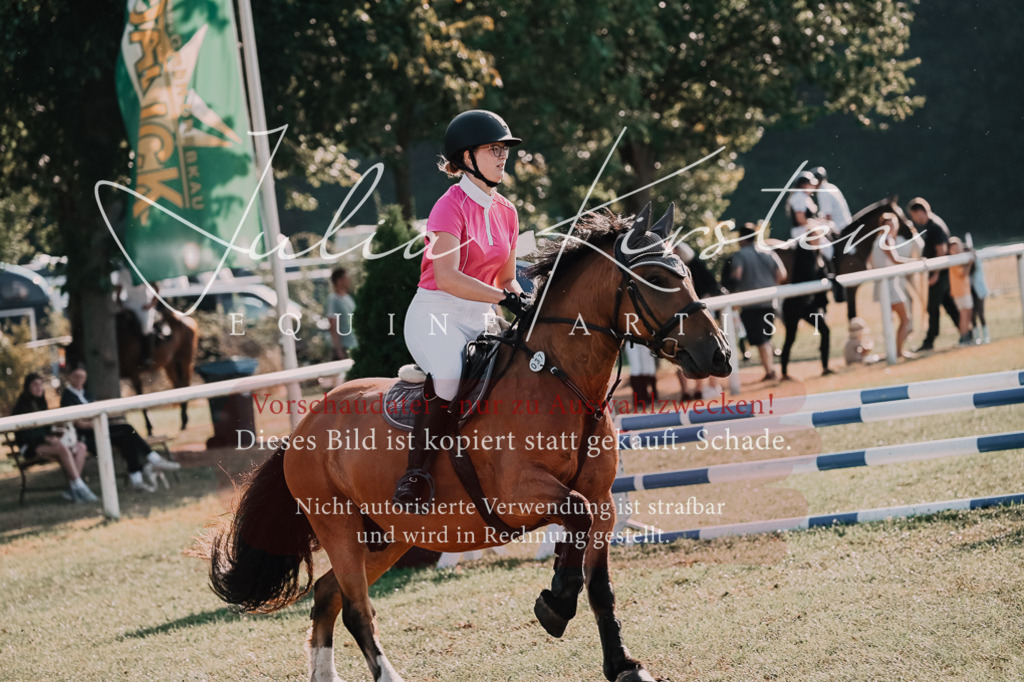 DSC_4578 | Pferde- und Turnierfotografie in Westsachsen. Pferdeportraits, Auftragszeichnungen und intuitive Kunst.