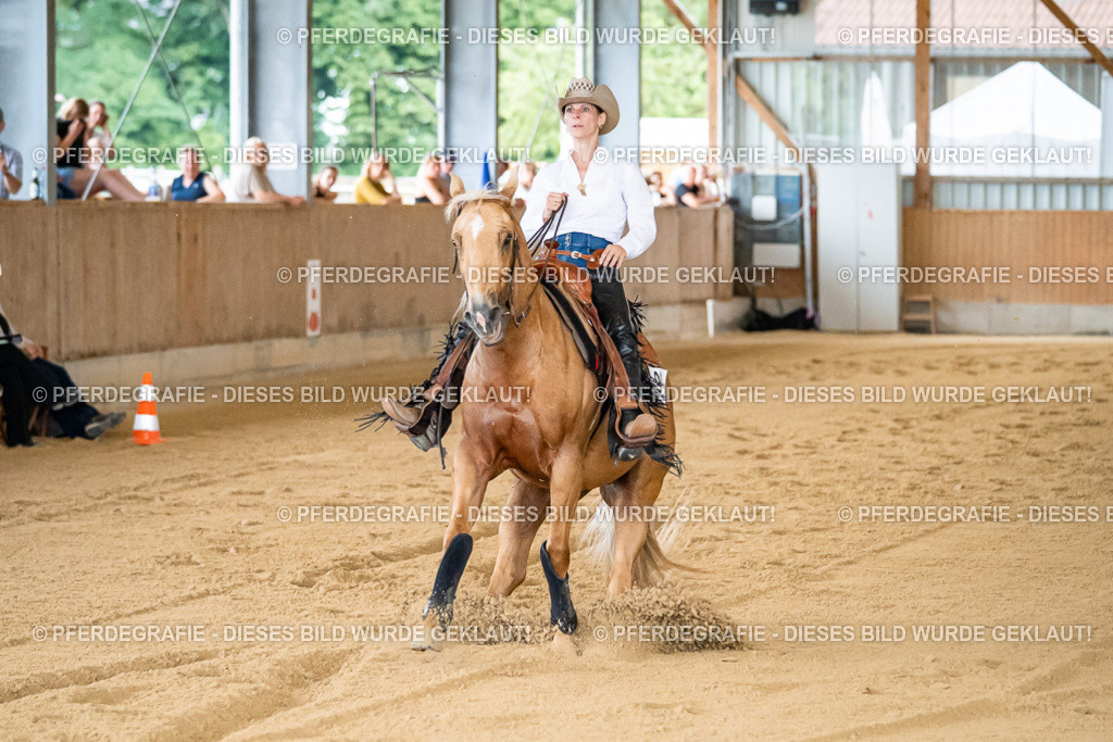 DSC08838 | Pferdegrafie