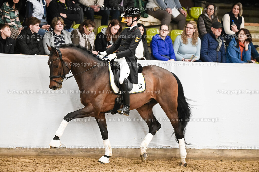 20260307_Hengstvorstellung-Marbach_0384 | equistock
