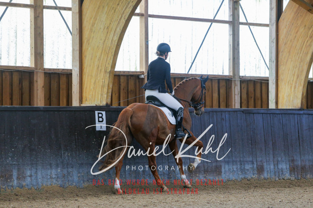 IMG_0302 | Deine Turnierfotos vom Reitturnier online kaufen: Dressur, Springen & Siegerehrung. Professionelle Pferdefotografie aus dem Rheinland – als Download & Print.Alternative: Turnierfotograf für den Pferdesport: Finde deine Fotos von Dressur- und Springturnier