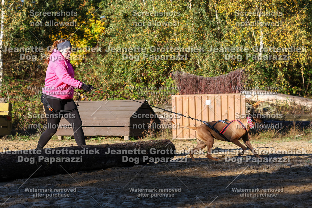 Dog Paparazzi - Strongdog 10-25-1287 | Dog Paparazzi Jeanette Grottendiek Fotografie & Videografie - Realisiert mit Pictrs.com