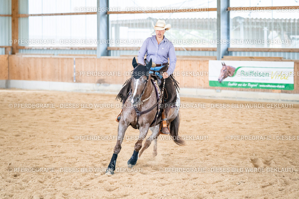 DSC03293 | Pferdegrafie