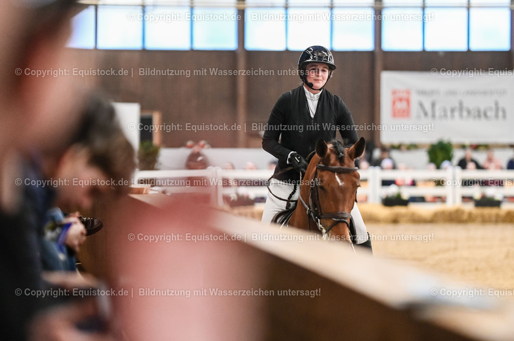 20260307_Hengstvorstellung-Marbach_0053 | equistock