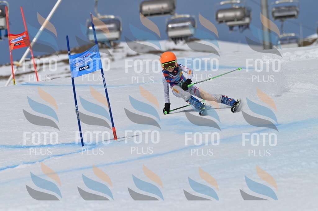 BGV_6368 | holidayphoto